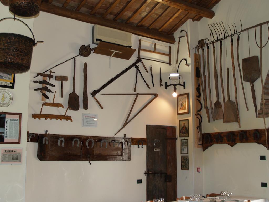 Agriturismo Le Clementine Badia Polesine ภายนอก รูปภาพ