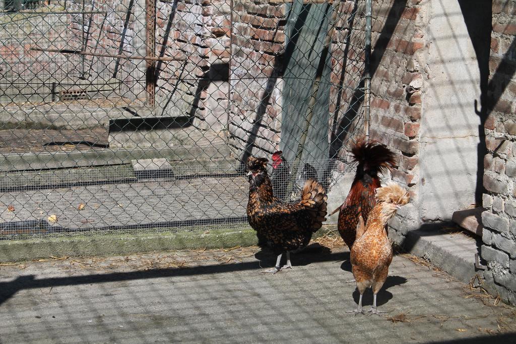 Agriturismo Le Clementine Badia Polesine ภายนอก รูปภาพ