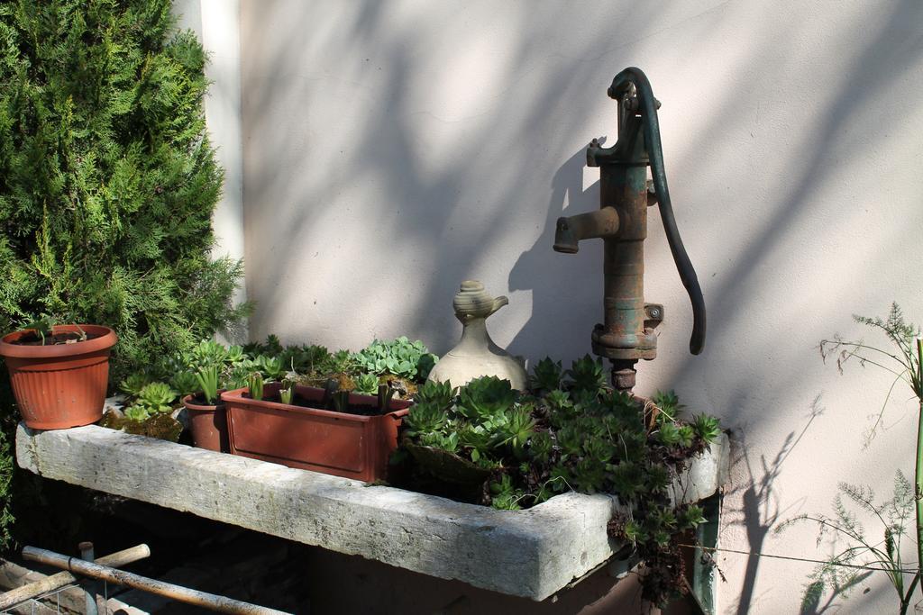 Agriturismo Le Clementine Badia Polesine ภายนอก รูปภาพ