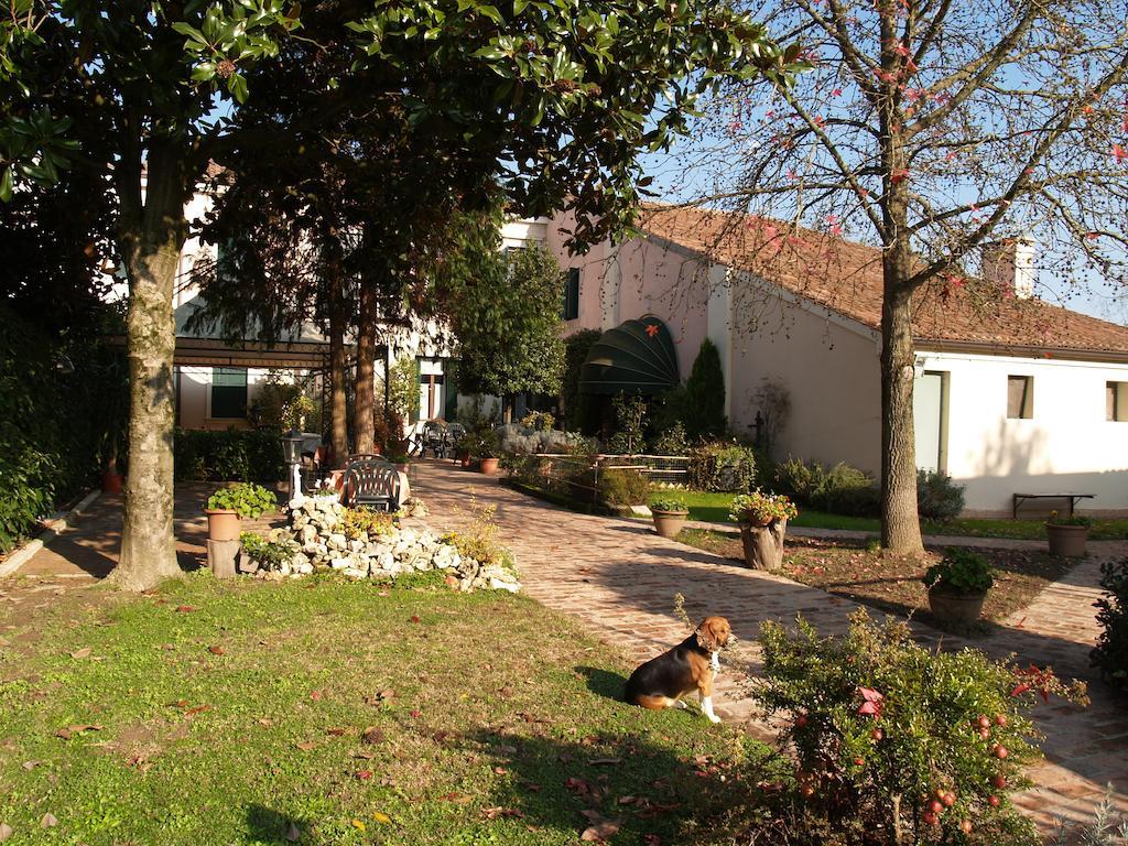 Agriturismo Le Clementine Badia Polesine ภายนอก รูปภาพ