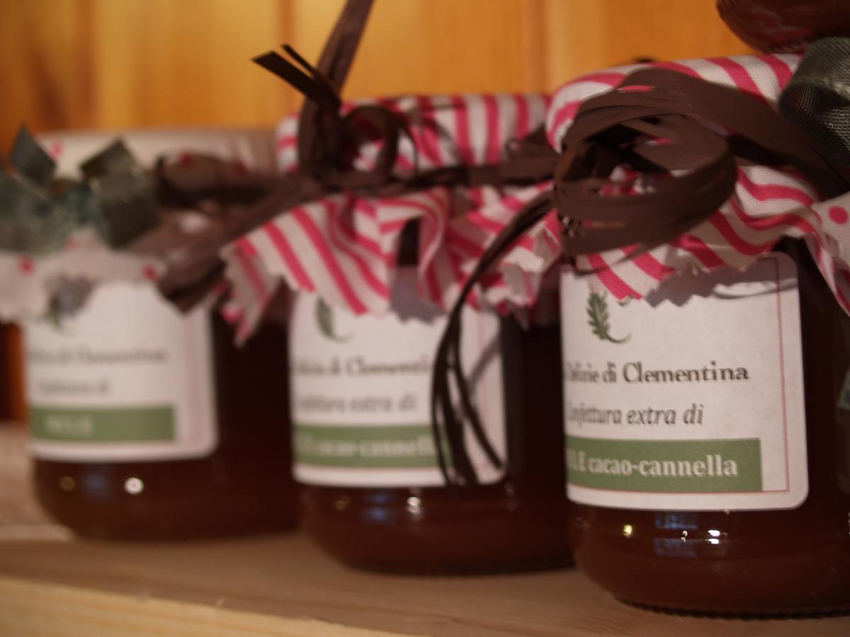 Agriturismo Le Clementine Badia Polesine ภายนอก รูปภาพ