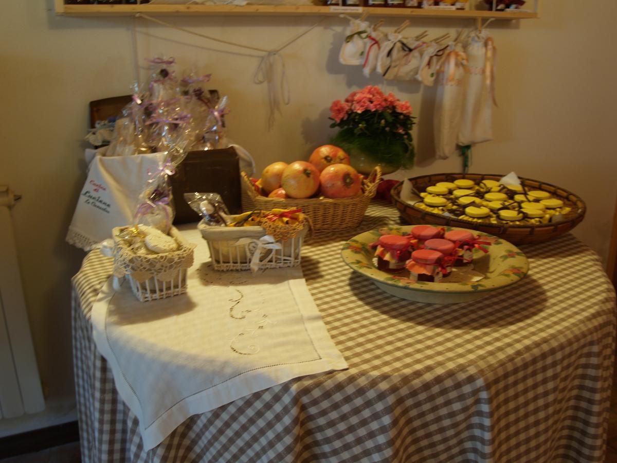 Agriturismo Le Clementine Badia Polesine ภายนอก รูปภาพ